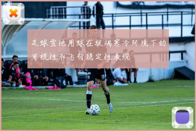 足球雪地用球在极端寒冷环境下的可视性和飞行稳定性表现