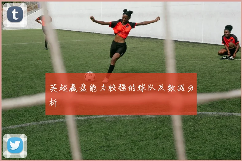 英超赢盘能力较强的球队及数据分析