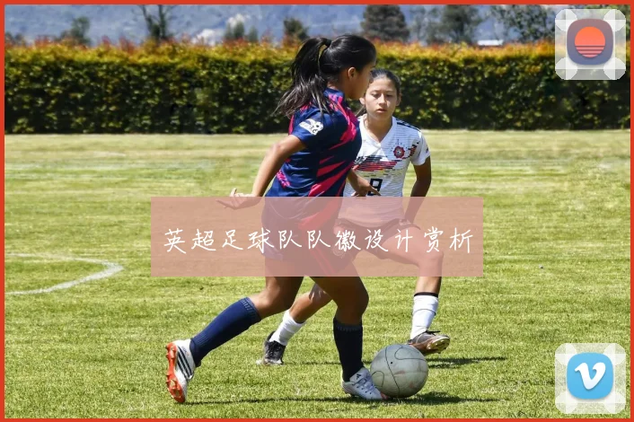 英超足球队队徽设计赏析