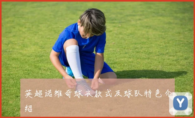 英超诺维奇球衣款式及球队特色介绍
