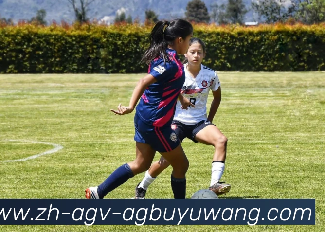 AG捕鱼王官网发展历程